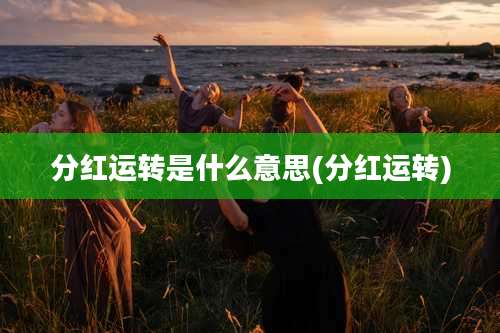 分红运转是什么意思(分红运转)