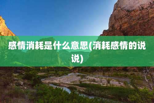 感情消耗是什么意思(消耗感情的说说)