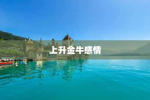 上升金牛感情
