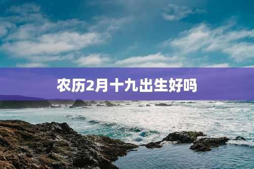 农历2月十九出生好吗