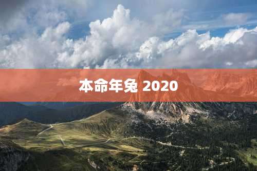 本命年兔 2020
