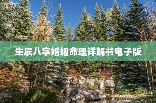 生辰八字婚姻命理详解书电子版