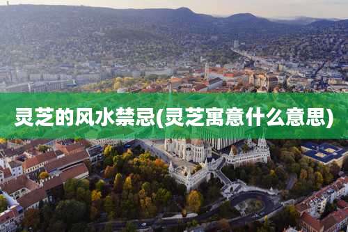 灵芝的风水禁忌(灵芝寓意什么意思)