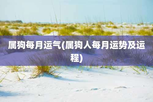 属狗每月运气(属狗人每月运势及运程)