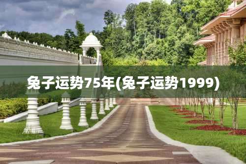 兔子运势75年(兔子运势1999)