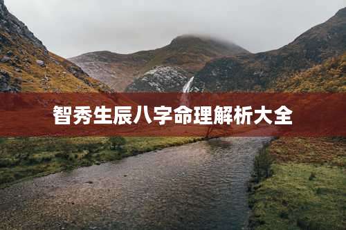 智秀生辰八字命理解析大全