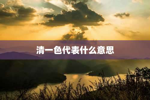 清一色代表什么意思