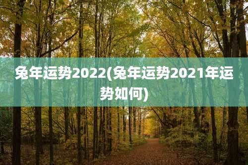 兔年运势2022(兔年运势2021年运势如何)
