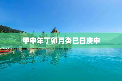 甲申年丁卯月癸巳日庚申