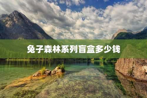 兔子森林系列盲盒多少钱