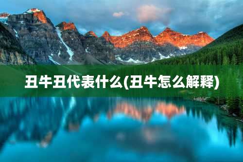 丑牛丑代表什么(丑牛怎么解释)