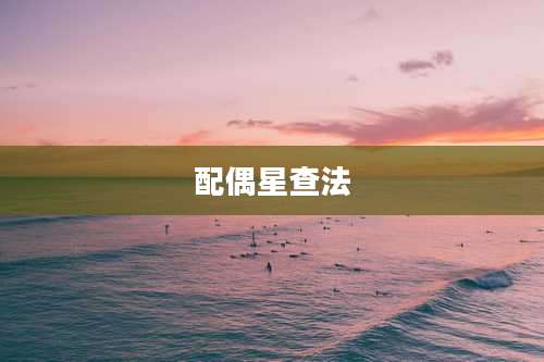 配偶星查法