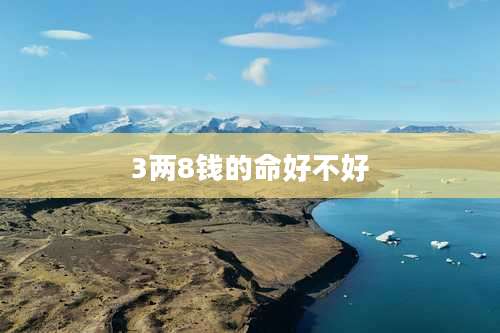 3两8钱的命好不好