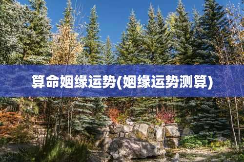 算命姻缘运势(姻缘运势测算)