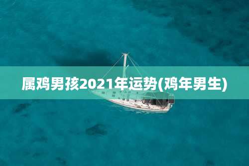 属鸡男孩2021年运势(鸡年男生)