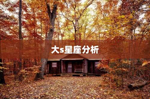 大s星座分析
