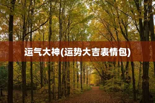 运气大神(运势大吉表情包)