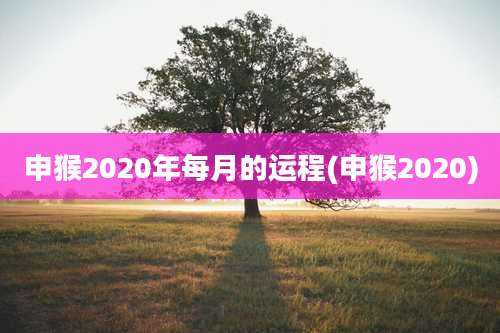 申猴2020年每月的运程(申猴2020)