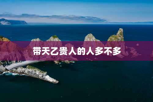 带天乙贵人的人多不多