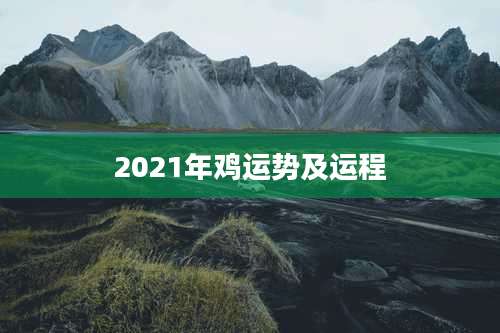 2021年鸡运势及运程