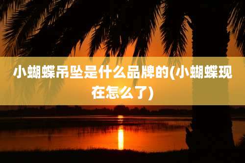 小蝴蝶吊坠是什么品牌的(小蝴蝶现在怎么了)
