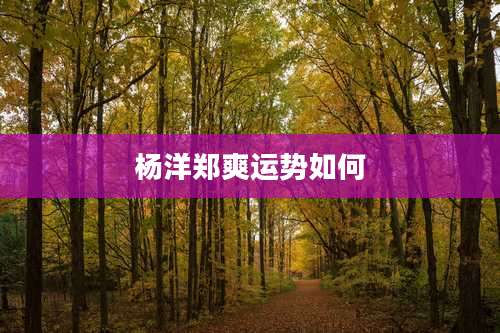 杨洋郑爽运势如何