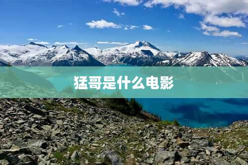 猛哥是什么电影