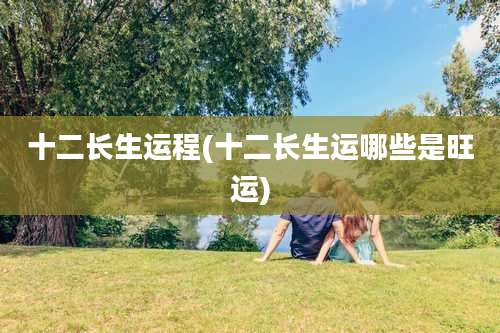 十二长生运程(十二长生运哪些是旺运)