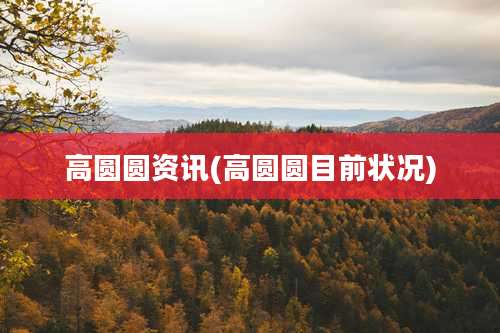 高圆圆资讯(高圆圆目前状况)