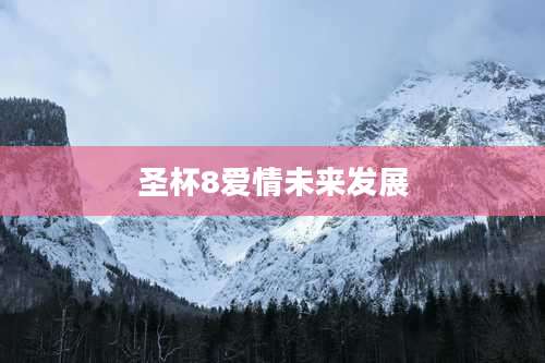 圣杯8爱情未来发展