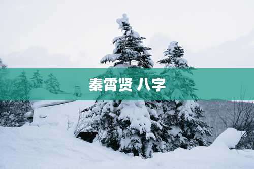 秦霄贤 八字