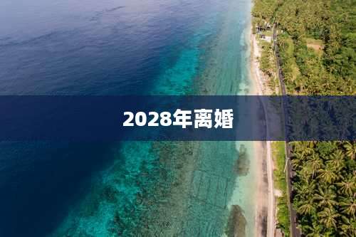 2028年离婚