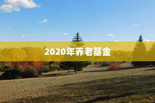 2020年养老基金