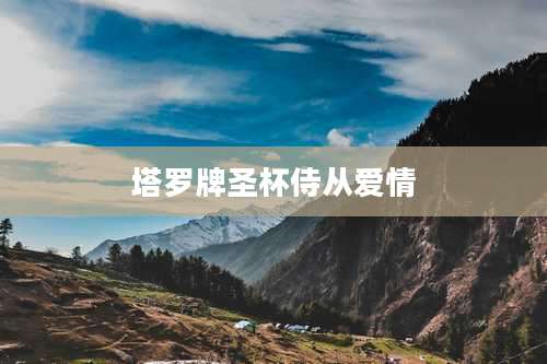 塔罗牌圣杯侍从爱情