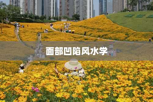 面部凹陷风水学