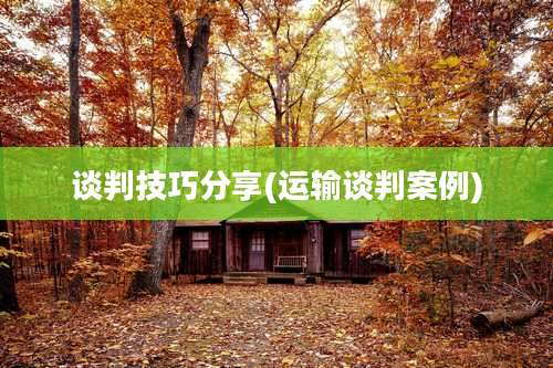 谈判技巧分享(运输谈判案例)