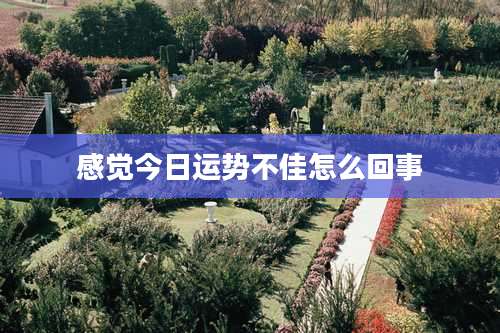 感觉今日运势不佳怎么回事