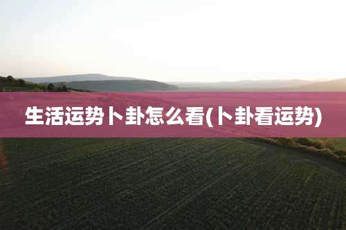 生活运势卜卦怎么看(卜卦看运势)