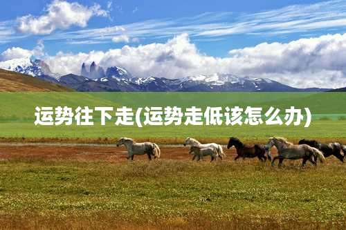 运势往下走(运势走低该怎么办)