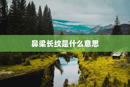 鼻梁长纹是什么意思
