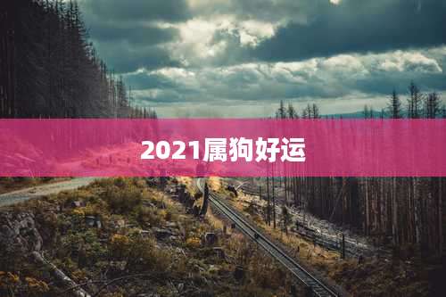 2021属狗好运