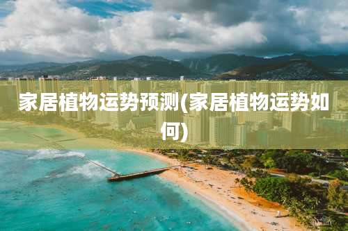 家居植物运势预测(家居植物运势如何)