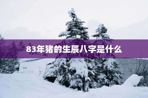 83年猪的生辰八字是什么