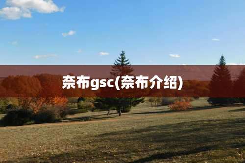 奈布gsc(奈布介绍)