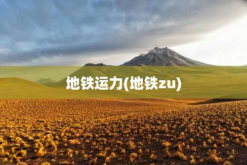 地铁运力(地铁zu)
