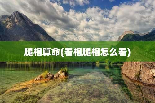 腿相算命(看相腿相怎么看)