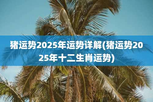 猪运势2025年运势详解(猪运势2025年十二生肖运势)