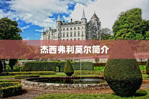 杰西弗利莫尔简介