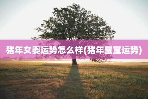 猪年女婴运势怎么样(猪年宝宝运势)