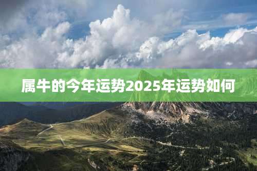 属牛的今年运势2025年运势如何